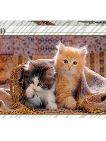 Produit Chatons Image