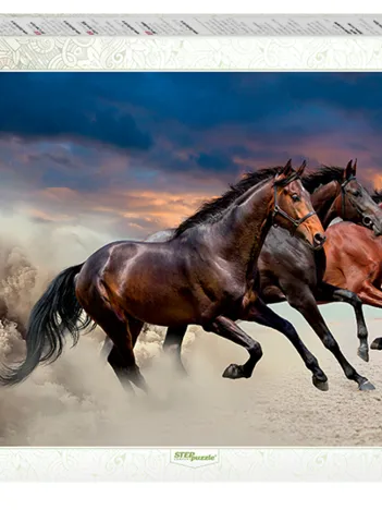 Produit Chevaux Image