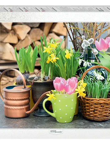 Produit Fleurs de Printemps Image