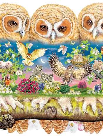 Produit Puzzle en Bois - Owlets in The Moonlight Image