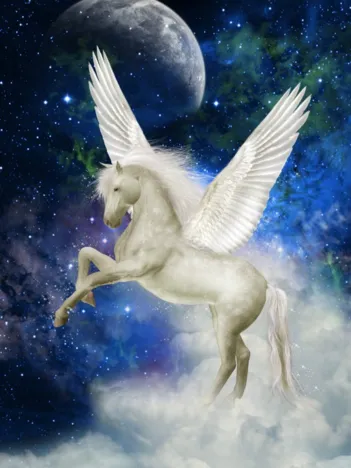 Produit Pegasus Image