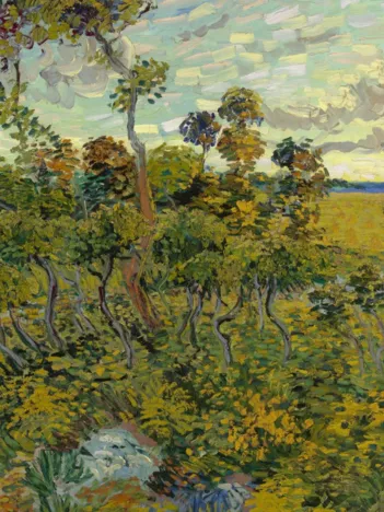 Produit Van Gogh Vincent : Coucher de Soleil à Montmajour, 1888 Image