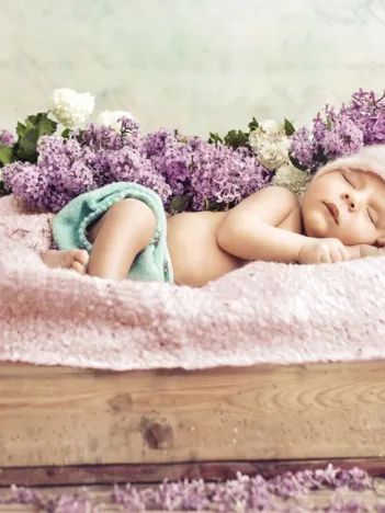 Produit Konrad Bak: Baby sleeping in the Lilac Image