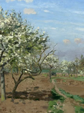 Produit Camille Pissarro : Verger en Fleurs, Louveciennes, 1872 Image