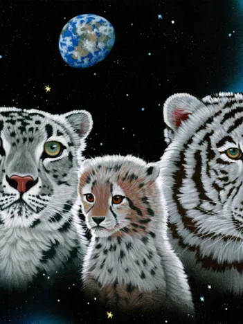 Produit Schim Schimmel - Gentle Family Image