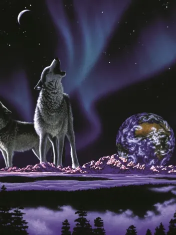 Produit Schim Schimmel - Earth Song Image