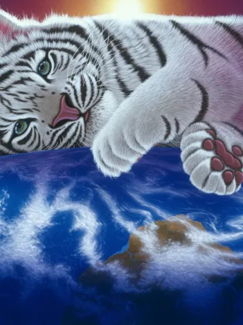 Produit Schim Schimmel - Cuddle Time Image