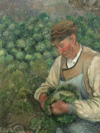 Produit Camille Pissarro : Le Jardinier - Vieux Paysan avec Chou, 1883-1895 Image