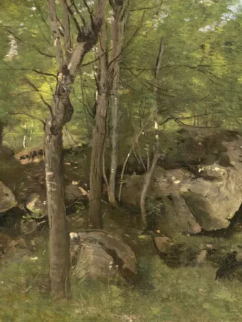 Produit Jean-Baptiste-Camille Corot : Rochers en Forêt de Fontainebleau, 1860-1865 Image