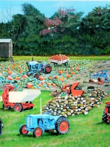 Produit Roy Didwell - The Pumpkin Patch Image