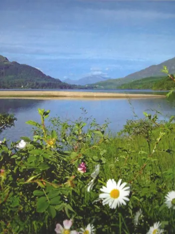 Produit Summertime Image