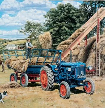 Produit Trevor Mitchell - Building a Hayrick Image