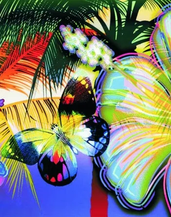 Produit Papillons Image