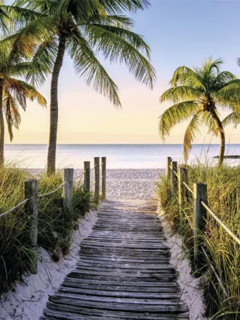 Produit Plage de Floride Image