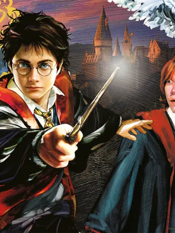 Produit Pièces XXL - Harry Potter et Ron Image