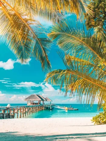 Produit Levente Bodo - Plage Paradisiaque Image