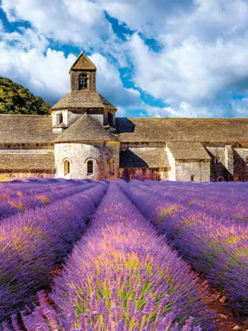 Produit Abbaye Notre-Dame de Sénanque Image