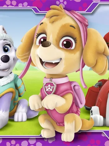 Produit Pat'Patrouille Image