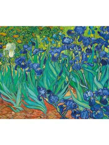 Produit Vincent Van Gogh - Les Iris Image