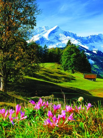 Produit Alpes Bavaroises Image