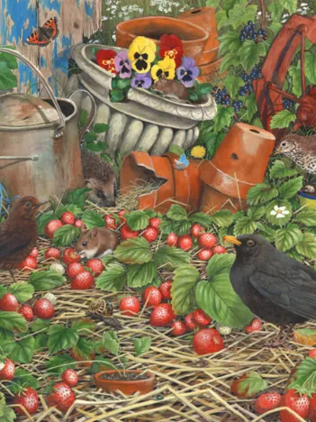 Produit Peck Your Own Image