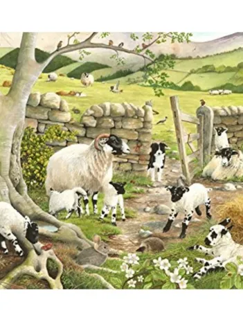 Produit Hide & Seek Image