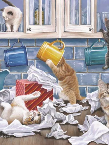 Produit Pièces XXL - Darley Collection - Kitty Litter Image