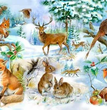 Produit Pièces XXL - Midwinter Image