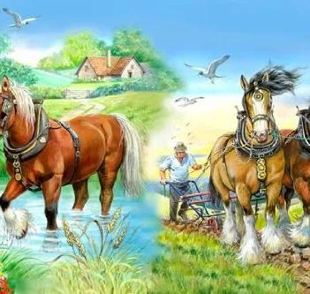 Produit Pièces XXL - Gentle Giants Image