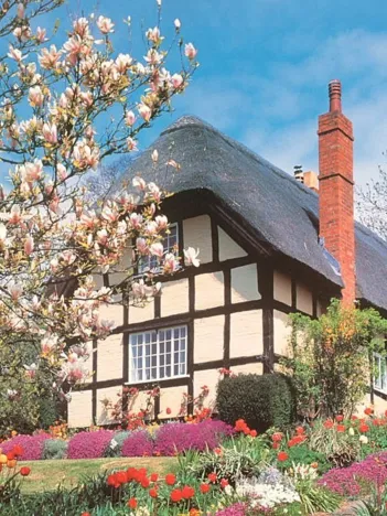 Produit April Flowers Image