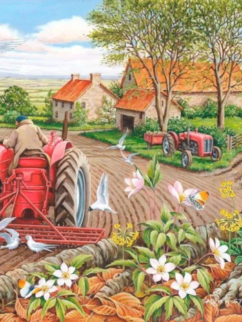 Produit Pièces XXL - Red Harrows Image