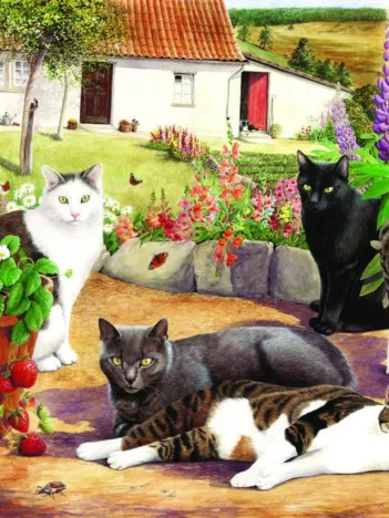 Produit Pièces XXL - Cool Cats Image