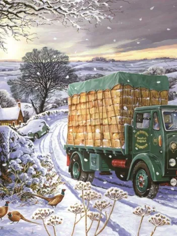 Produit Sure As The Sunrise Image