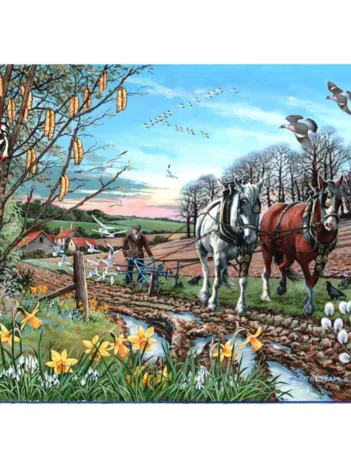 Produit Final Furrow Image