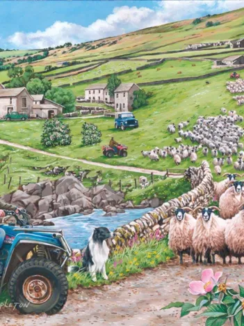 Produit Pièces XXL - Round Up Image