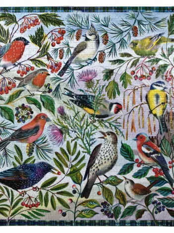 Produit Birds Of Scotland Image