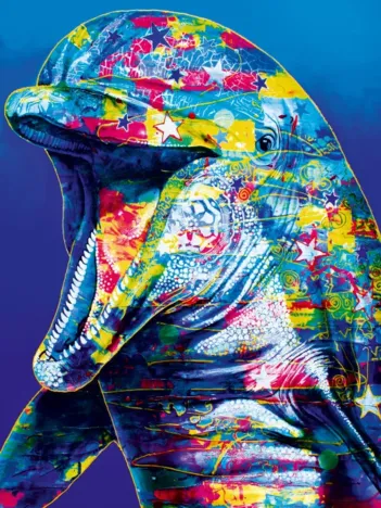 Produit Dolphin Image