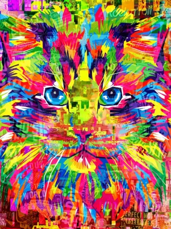 Produit Wonderful Cat Image