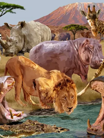 Produit Kilimanjaro Image