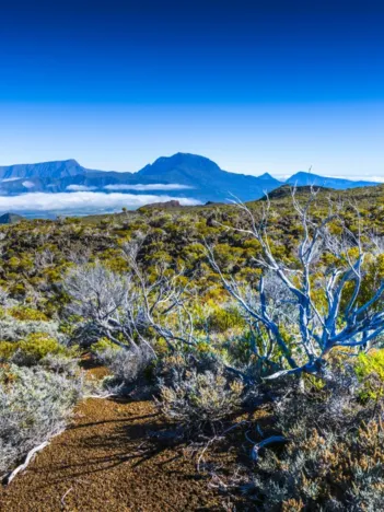 Produit Piton des Neiges, La Réunion, France Image