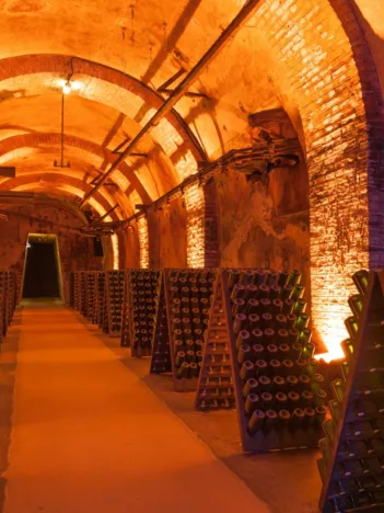 Produit Cave à Champagne Image