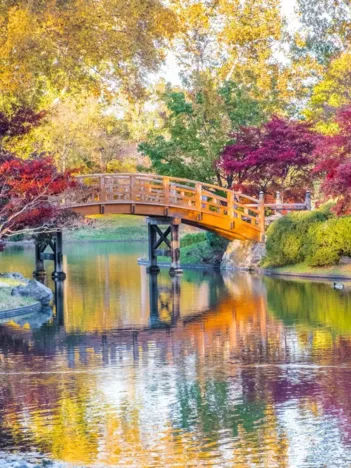 Produit Midwest Botanical Garden Image