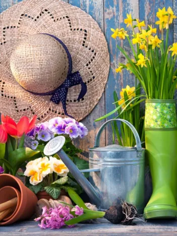 Produit Ready for the Garden Image