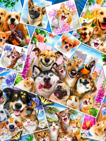 Produit Selfie Pet Collage Image