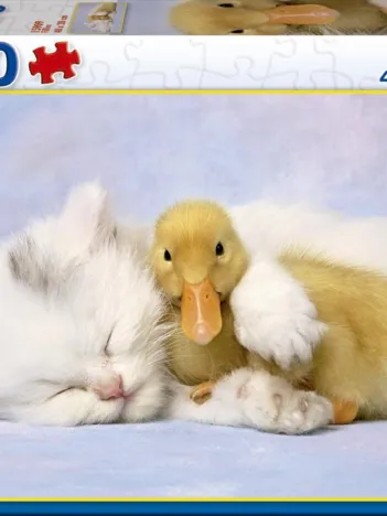 Produit Mon Meilleur Ami Image