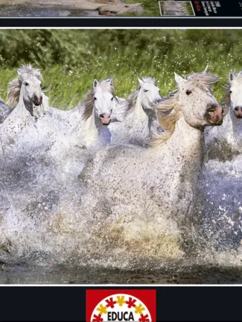 Produit Chevaux Camarguais Image