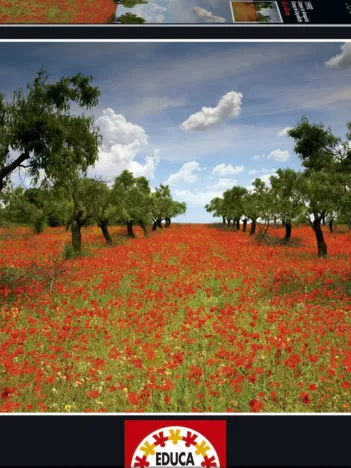 Produit Champ de Coquelicots Image