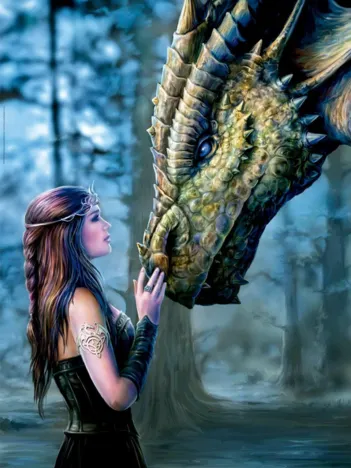 Produit Il était une Fois...Annes Stokes Image