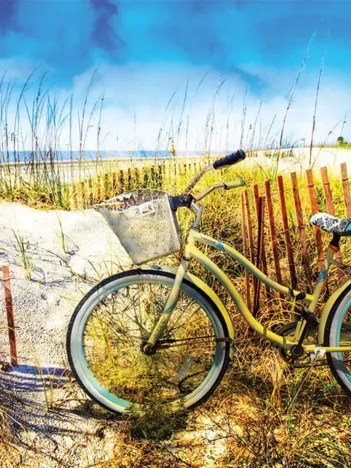 Produit Vélo dans les Dunes Image