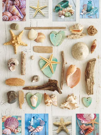 Produit Collage de Coquillages Image